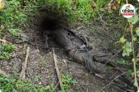 झाड़ियाें में मिला नर कंकाल (photo source- Patrika)