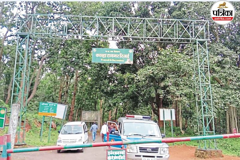 कान्हा टाइगर रिजर्व में बाघ का हमला (फोटो सोर्स- पत्रिका)