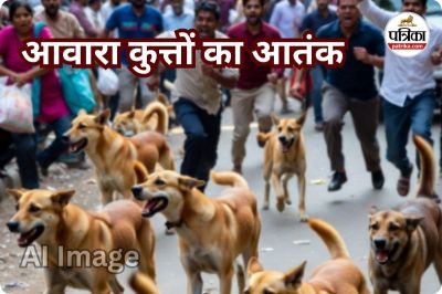 आवारा कुत्तों का आतंक (photo source- Patrika)