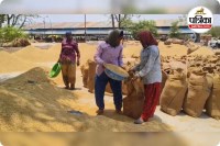 एग्रीस्टेक पोर्टल में पंजीयन की अनिवार्यता खत्म (photo source- Patrika)