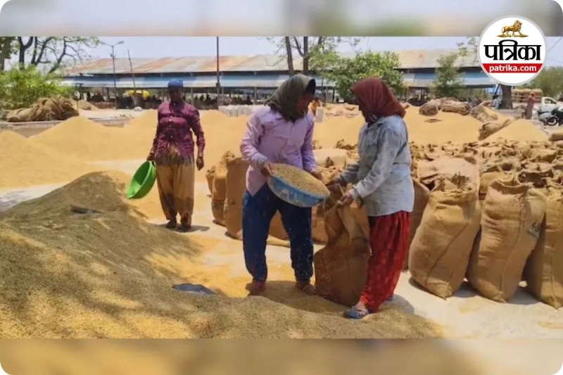 एग्रीस्टेक पोर्टल में पंजीयन की अनिवार्यता खत्म (photo source- Patrika)