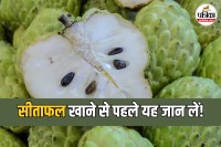 Custard Apple Benefits and Side Effects