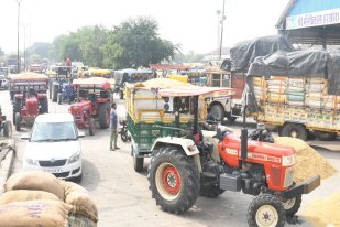 Kota Mandi