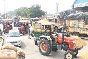 Kota Mandi