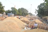 Kota Mandi