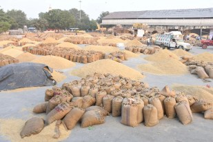 Kota-Mandi-News