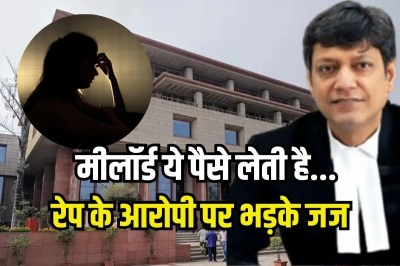 Delhi High Court reprimanded accused in girl rape case