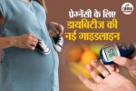 Pregnancy Diabetes Symptoms, Gestational Diabetes Treatment, गर्भवती महिलाओं की सेहत, Pregnancy Nutrition Diabetes, Sugar Level in Pregnancy,