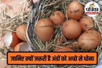 wash eggs before cooking, egg hygiene, local eggs, Egg Hygiene