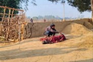 Elephant killed husband-wife