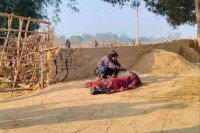 Elephant killed husband-wife