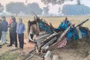 Elephants killed villager