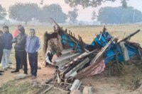 Elephants killed villager