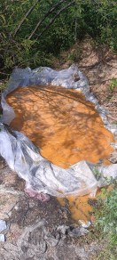 आबकारी विभाग ने भितरवार और मोहना क्षेत्र में अवैध शराब निर्माण के विरुद्ध बड़ी कार्रवाई की।