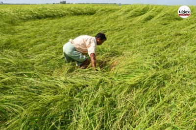 हरियाणा में किसानों को मिलेगी अनुदान राशि