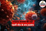 H5N5 Virus Update