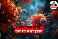 H5N5 Virus Update