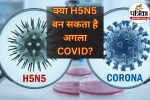 H5N5 vs Corona