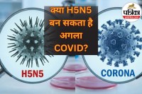 H5N5 vs Corona