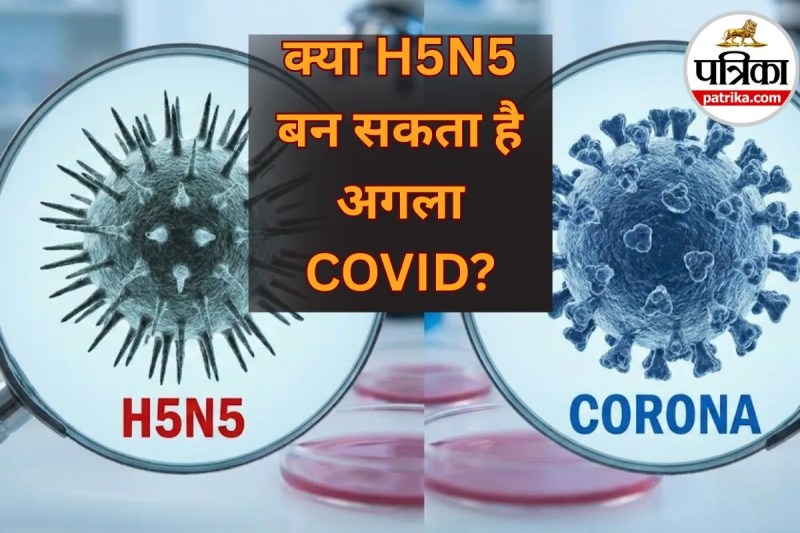 H5N5 vs Corona