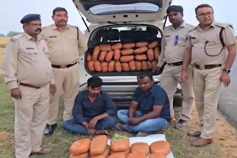 Hemp smugglers arrested