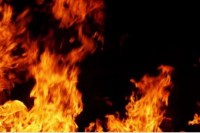 Up news, sidharthnagar