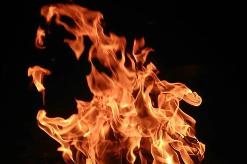 Up news, gorakhpur nrws