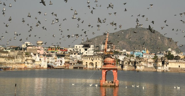 pushkar lake