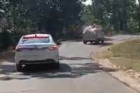 SDM caught illegal paddy