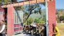 In Uttarakhand's Syalde, people took stray cattle to the government office