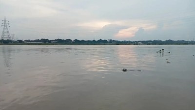 दिखने लगा ठंड का असर (फोटो सोर्स- पत्रिका)