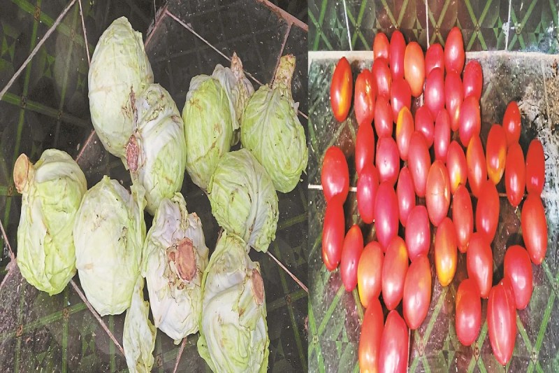 छात्रावास में अव्यवस्था (photo source- Patrika)