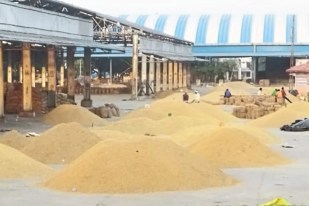 Kota-Mandi