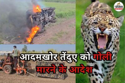 Leopard Attack Pune