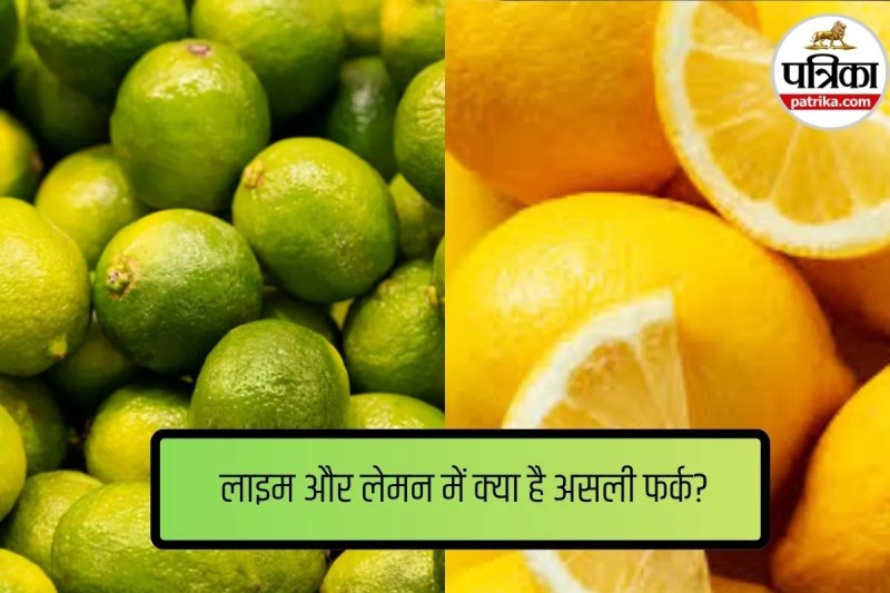 lemon,Fact,Lime,lemon,what is lime, what is lemon,