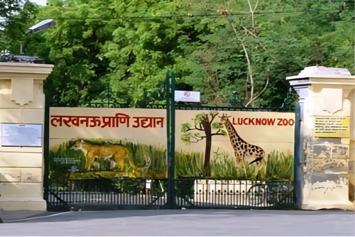 Lucknow Zoo: डियर सफारी में हिरन चोरी का प्रयास नाकाम, एक युवक गिरफ्तार, चार आरोपित फरार
