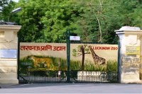 Lucknow Zoo Deer Safari Incident (फोटो सोर्स : Whatsapp Group)