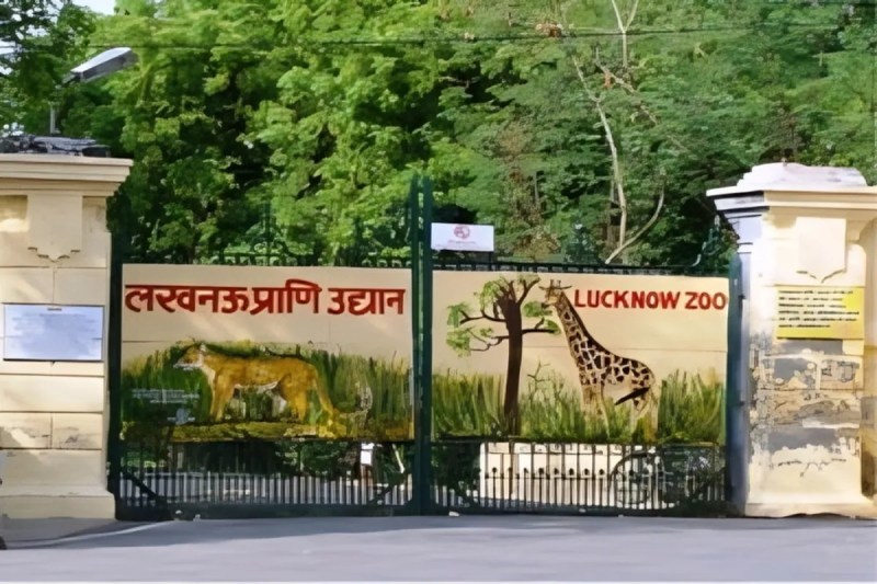 Lucknow Zoo Deer Safari Incident (फोटो सोर्स : Whatsapp Group)