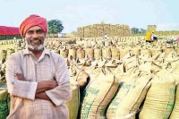 MP News MP Farmers Dhan Khareedi