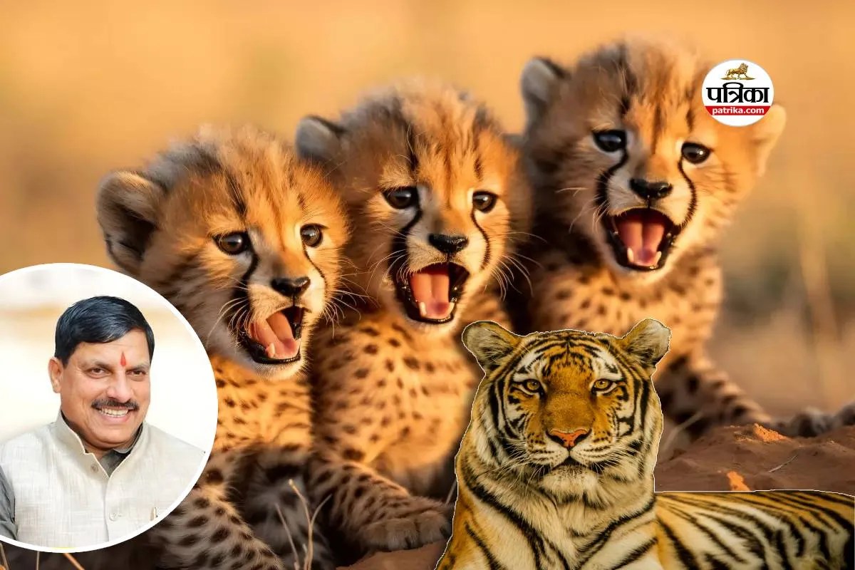 MP tourism Watch MP Wildlife on TV Soon CM mohan Yadav Announcement