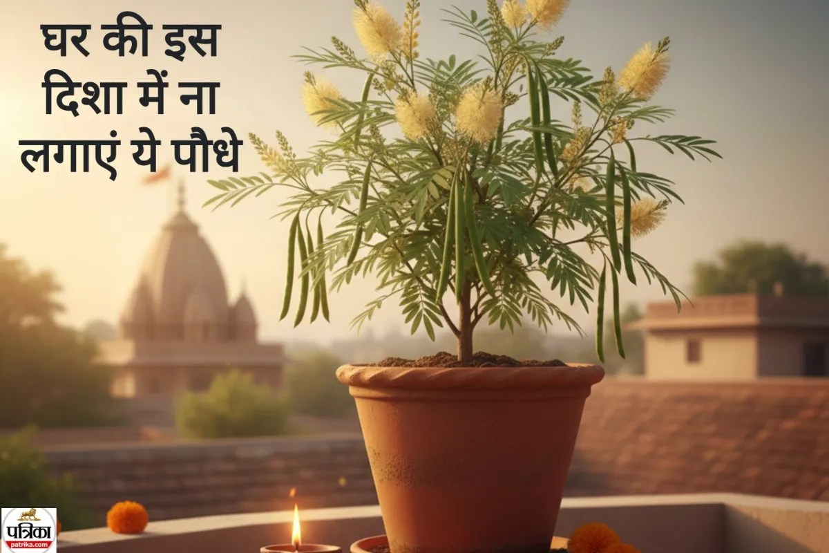 वास्तु टिप्स