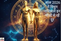 मिथुन राशिफल 2026