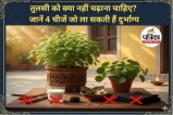 Never Offer These 4 Items to Tulsi : तुलसी को भूलकर भी न चढ़ाएं ये 4 चीजें, आ सकती है घर में कंगाली