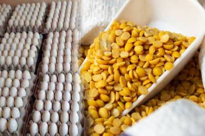 फोटो सोर्स: पत्रिका