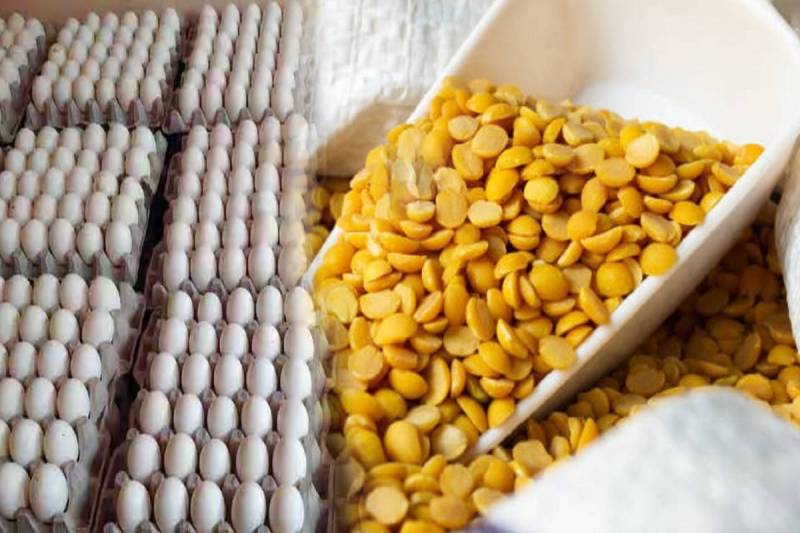 फोटो सोर्स: पत्रिका