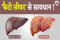 फोटो सोर्स: पत्रिका