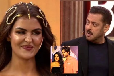 प्रियंका चाहर चौधरी और अंकित गुप्ता का ब्रेकअप हुआ कंफर्म? सलमान ने कहा-और वो कहां है? वो है या नहीं...