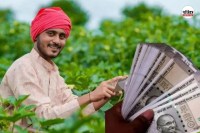 किसानों के हित में केंद्र सरकार का बड़ा निर्णय... तुअर, उड़द, मूंग, सोयाबीन और मूंगफली की MSP पर खरीद को मंजूरी, CM ने जताया आभार