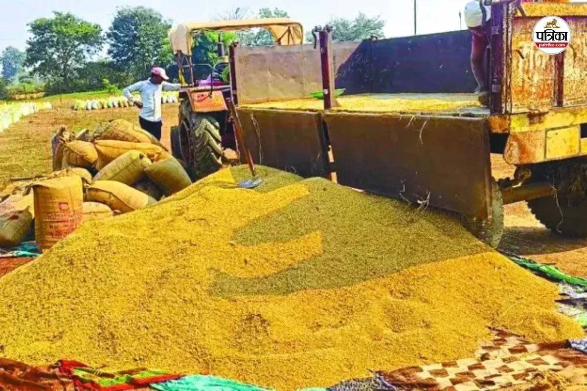 धान उठाव में लापरवाही या मिलीभगत? परिवहन में 200% ओवरलोडिंग उजागर, 13 मिलर-समिति प्रबंधन को नोटिस जारी(photo-patrika)