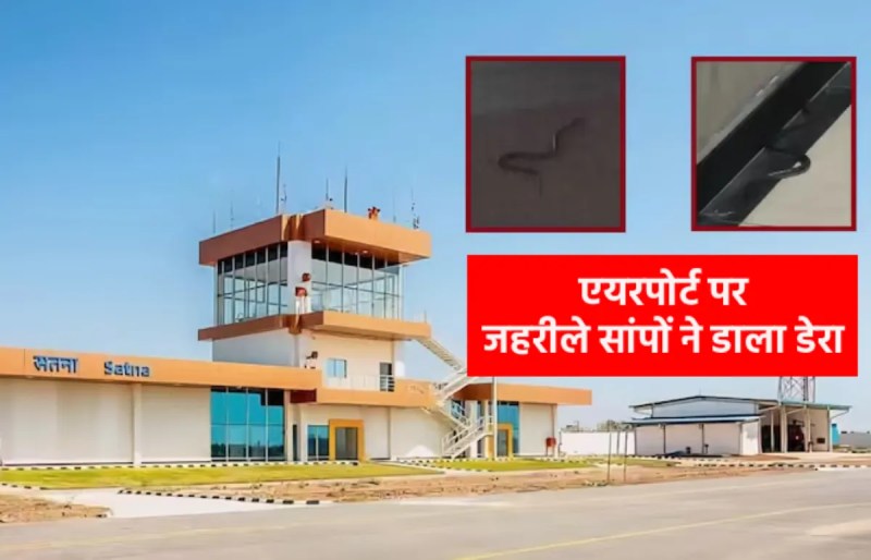 Poisonous snakes spread panic at Satna Airport